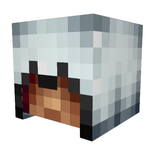 ElDonW3as Minecraft avatar head, 3D render