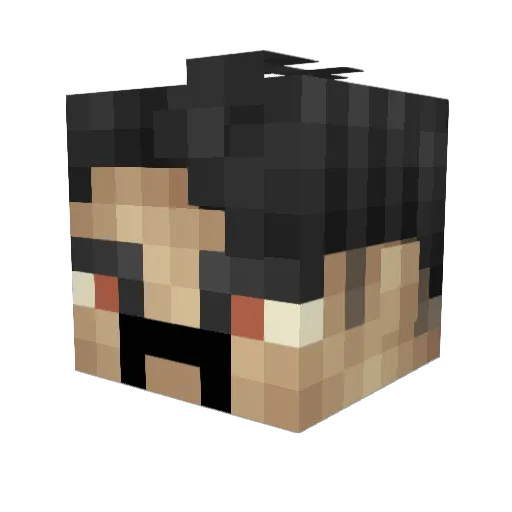 ElDonte1 Minecraft avatar head, 3D render