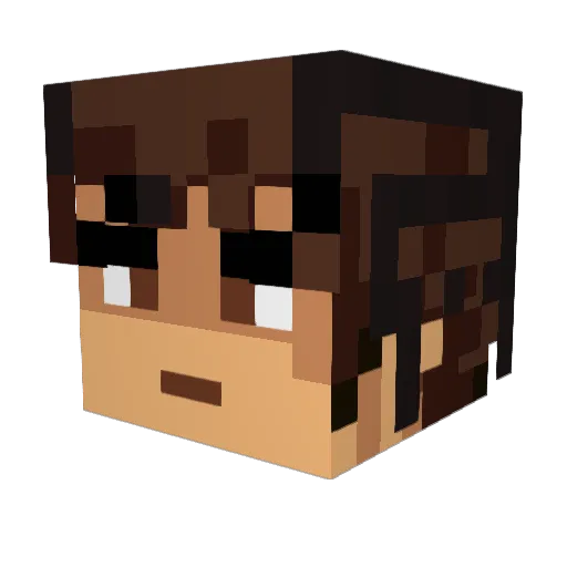 ElGatoFato Minecraft avatar head, 3D render