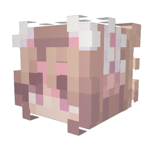 ElGatoGammer Minecraft avatar head, 3D render