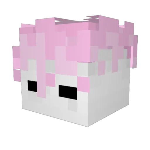 ElGrandePeesh Minecraft avatar head, 3D render