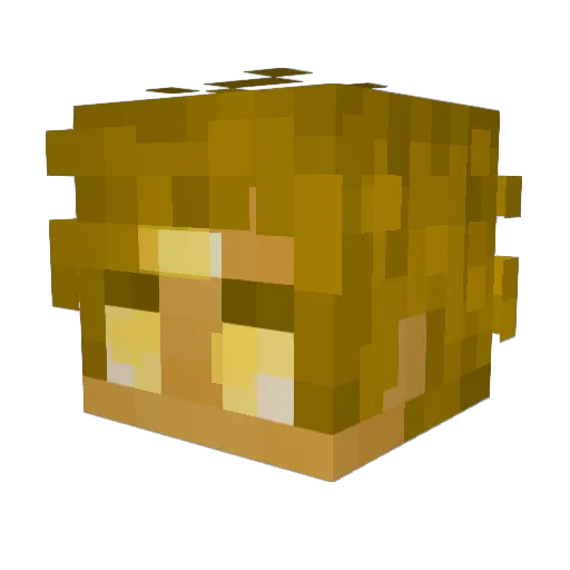 ElJackFrost Minecraft avatar head, 3D render