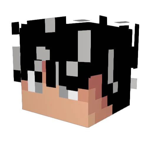ElJametor Minecraft avatar head, 3D render