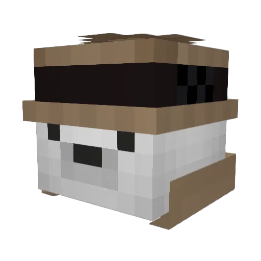 ElJuancho_ Minecraft avatar head, 3D render