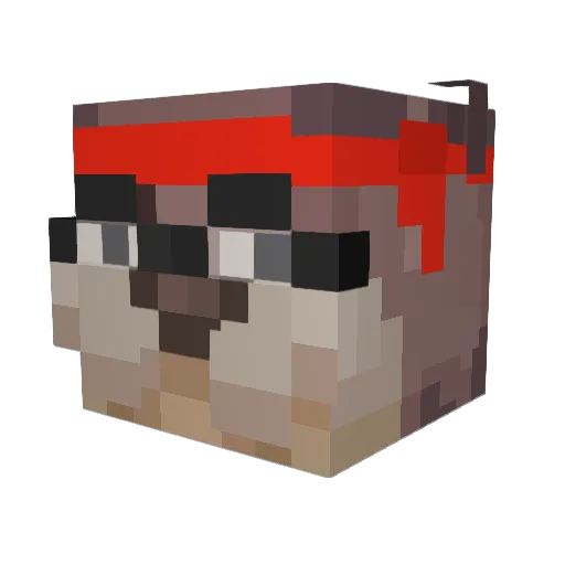 ElJuaniquilador Minecraft avatar head, 3D render