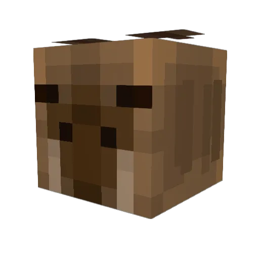 ElLiberman Minecraft avatar head, 3D render