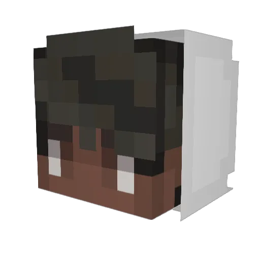 ElNBaljeet Minecraft avatar head, 3D render