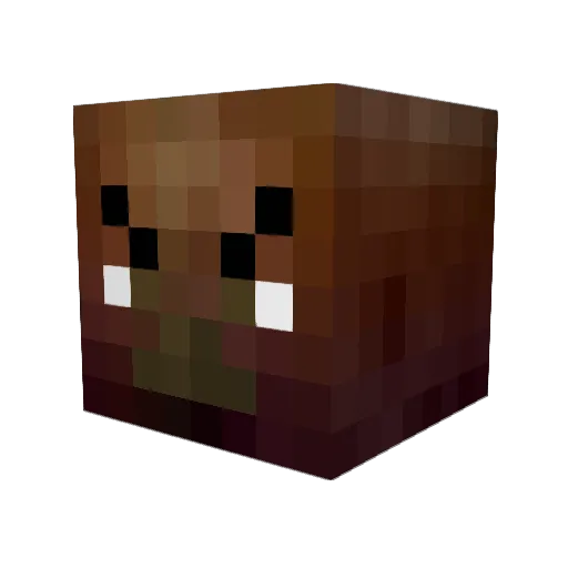 ElP4atron_23 Minecraft avatar head, 3D render