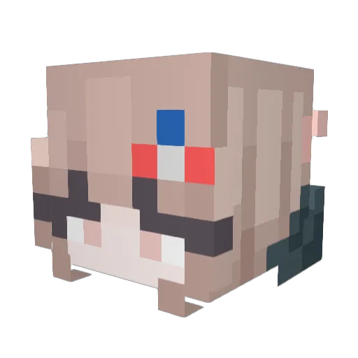 ElPsyCongroo1 Minecraft avatar head, 3D render