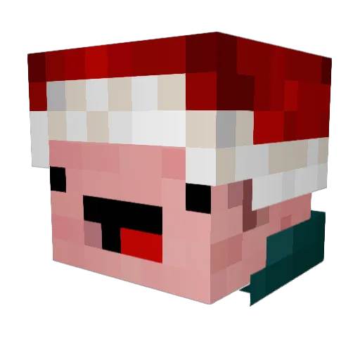 ElPuercoCrazyMX Minecraft avatar head, 3D render