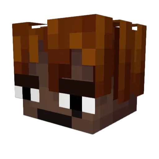 ElRandi Minecraft avatar head, 3D render
