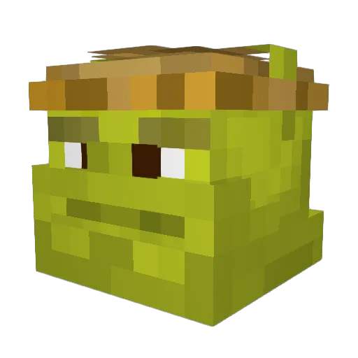 ElShrekTico Minecraft avatar head, 3D render