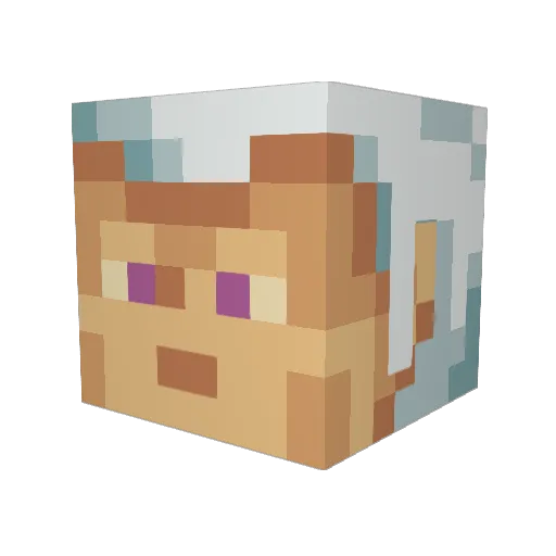 ElStone247 Minecraft avatar head, 3D render