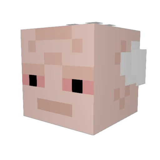 ElTomGrady Minecraft avatar head, 3D render