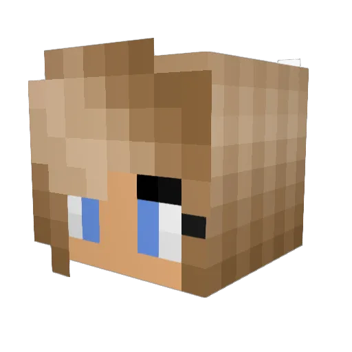 ElTorchoN Minecraft avatar head, 3D render
