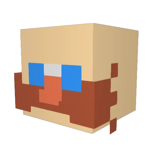 ElTripaSecaa Minecraft avatar head, 3D render