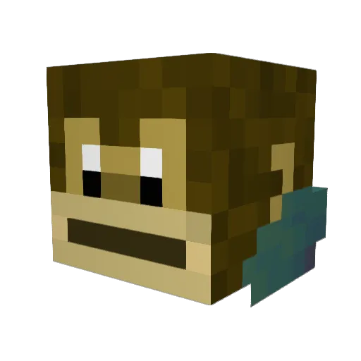 ElWifipassword Minecraft avatar head, 3D render