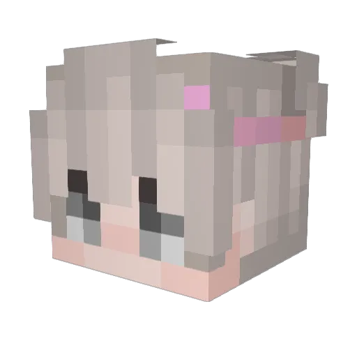 ElYoyos_ Minecraft avatar head, 3D render