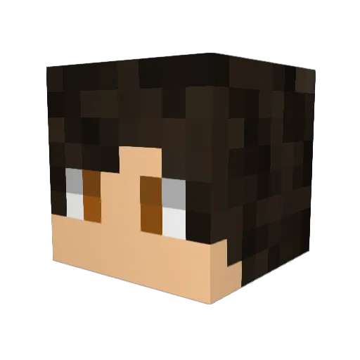 El_Albanito Minecraft avatar head, 3D render