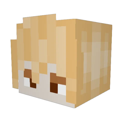 El_BlazeZ Minecraft avatar head, 3D render