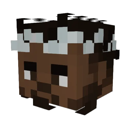 El_Braun Minecraft avatar head, 3D render