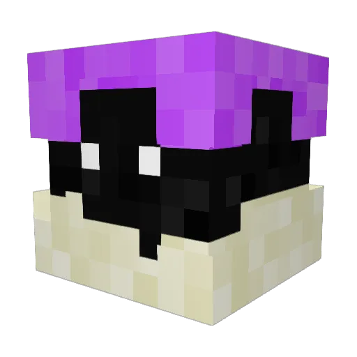 El_Ender_Cat Minecraft avatar head, 3D render