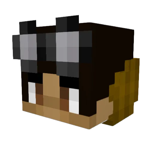 El_Papi1 Minecraft avatar head, 3D render