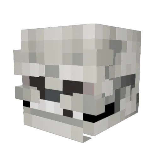 El_Penguin99 Minecraft avatar head, 3D render