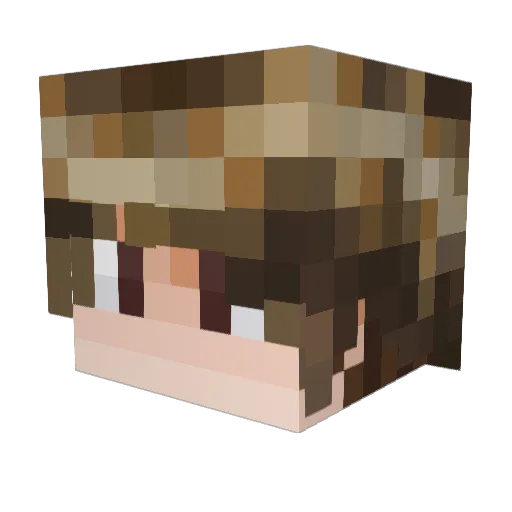 El_Pidda Minecraft avatar head, 3D render