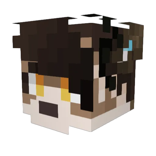 El_Pudu Minecraft avatar head, 3D render