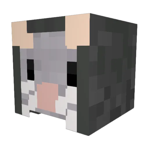 El_R4ton Minecraft avatar head, 3D render