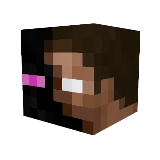 El_picaco Minecraft avatar head, 3D render