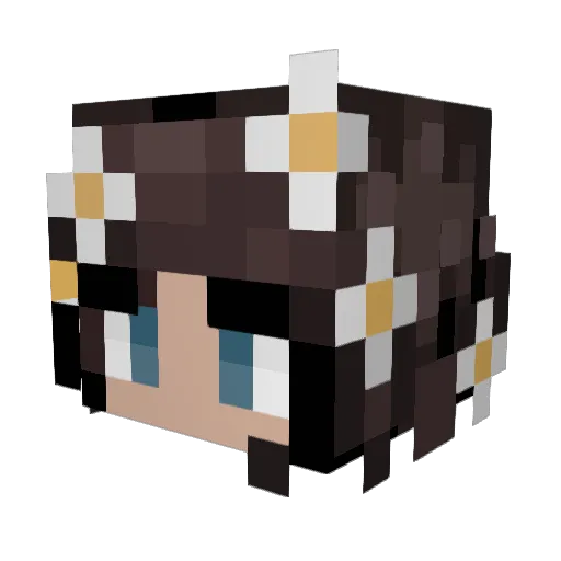 Ela5463 Minecraft avatar head, 3D render