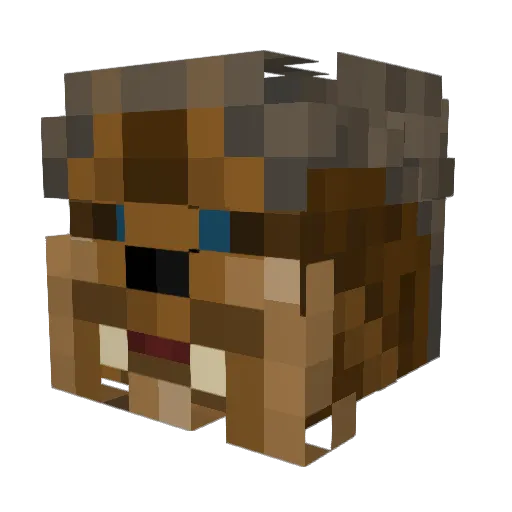 Elastic_Evan Minecraft avatar head, 3D render