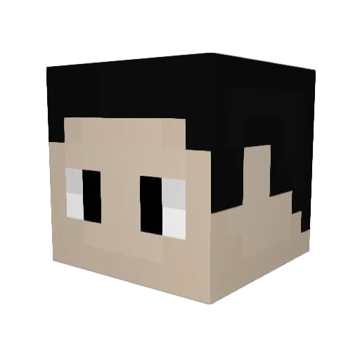 Elay3 Minecraft avatar head, 3D render