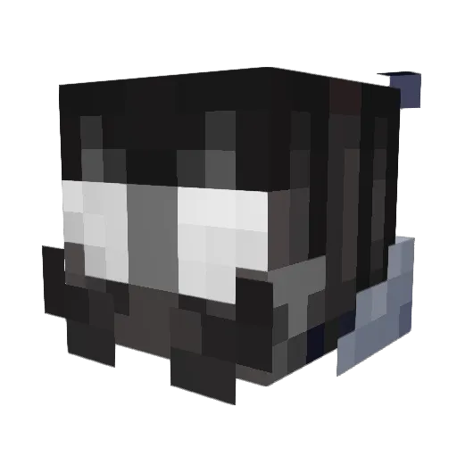 Elayer2007 Minecraft avatar head, 3D render