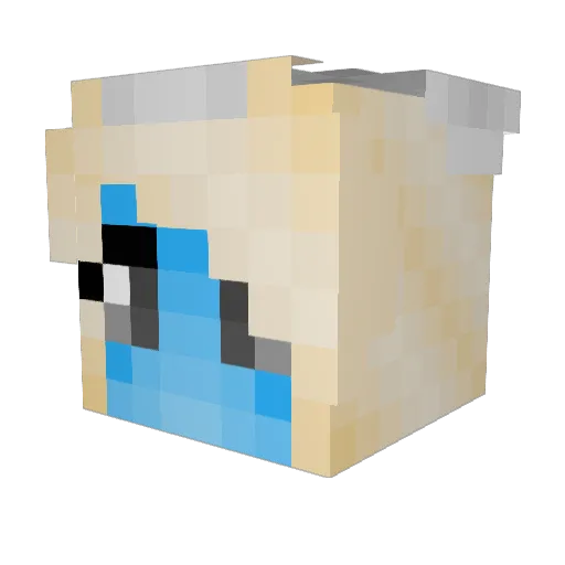 Elaztik Minecraft avatar head, 3D render