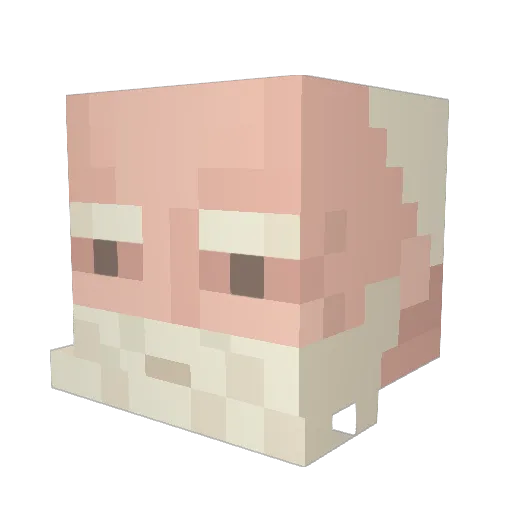 ElbartoIRL Minecraft avatar head, 3D render