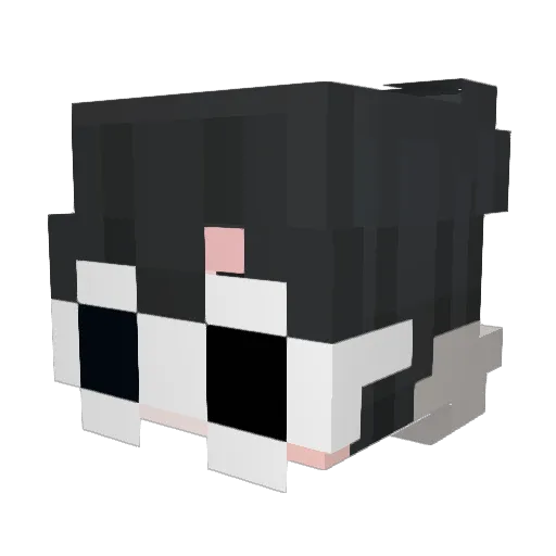 ElbrayanRF_ Minecraft avatar head, 3D render