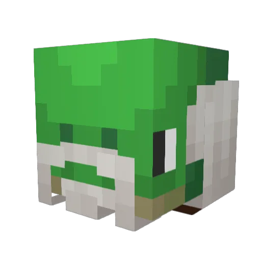 Elbrook77 Minecraft avatar head, 3D render