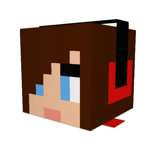 Elby69 Minecraft avatar head, 3D render