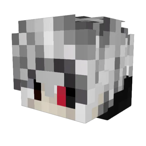 Elbyss_606 Minecraft avatar head, 3D render