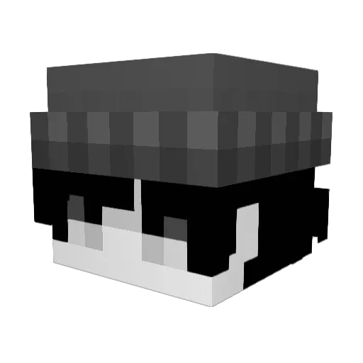Elcrack1238 Minecraft avatar head, 3D render