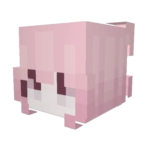 Eld_Zan Minecraft avatar head, 3D render