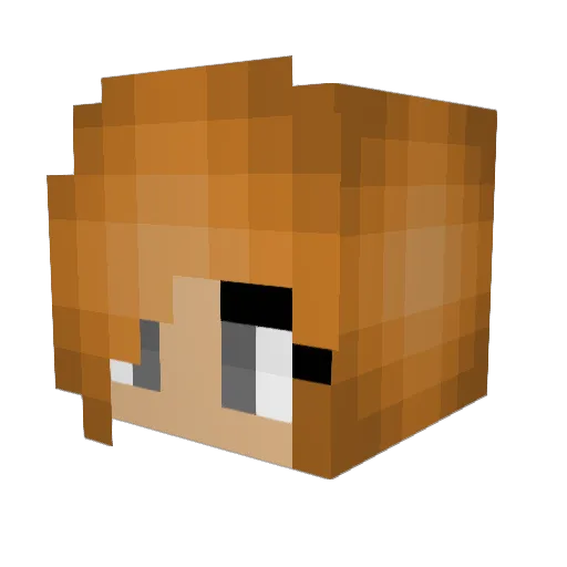 Eldast20 Minecraft avatar head, 3D render