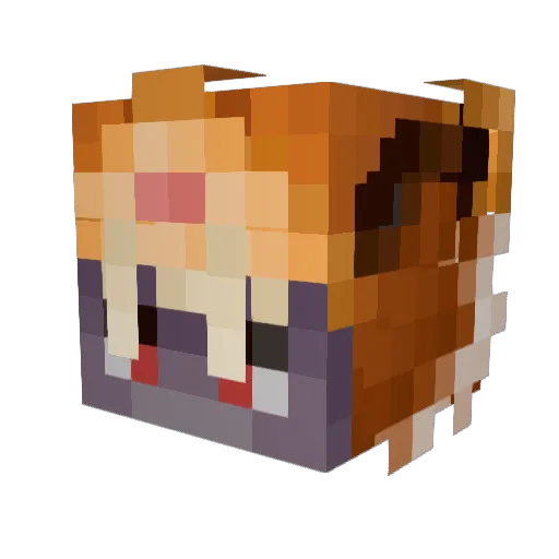 ElderUnikirin Minecraft avatar head, 3D render