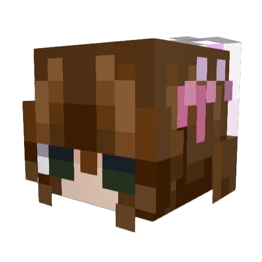 ElderlyBubble Minecraft avatar head, 3D render