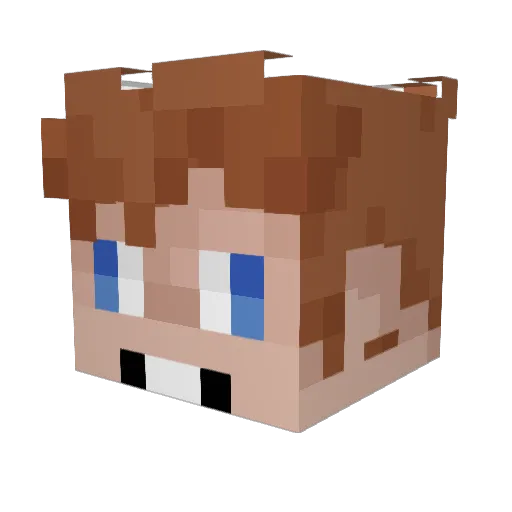 EldestPen024500 Minecraft avatar head, 3D render