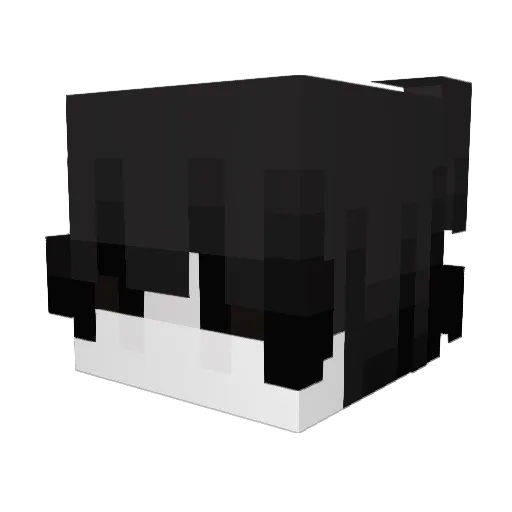 Eldestrozaanos69 Minecraft avatar head, 3D render