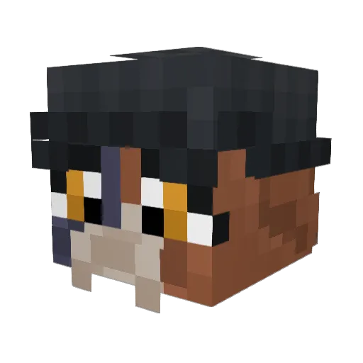 Eldritch385 Minecraft avatar head, 3D render